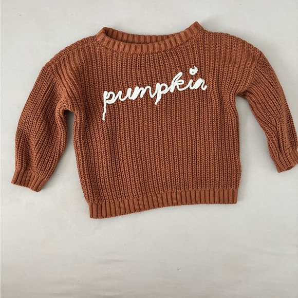 Old Navy Other - Old Navy Pumpkin Knit Sweater - Rust